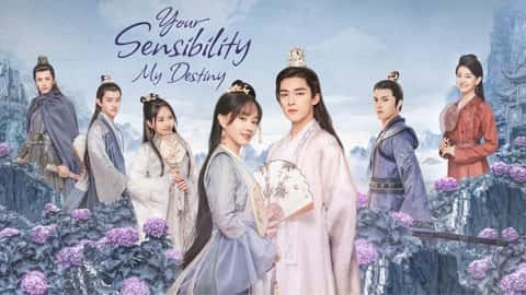 poster Công Tử Khuynh Thành Your Sensibility My Destiny