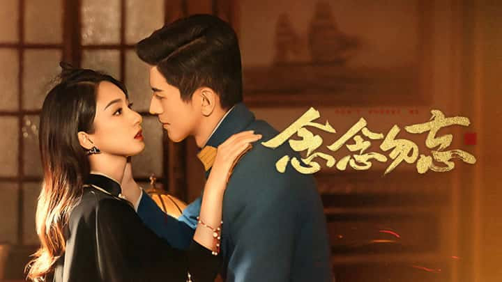 poster Không Bao Giờ Quên Don't Forget Me