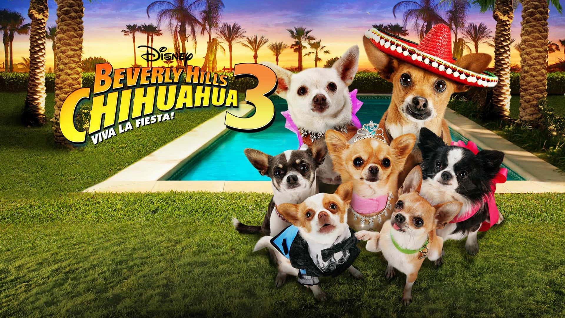 poster Những Chú Chó Chihuahua 3 Beverly Hills Chihuahua 3: Viva la Fiesta!