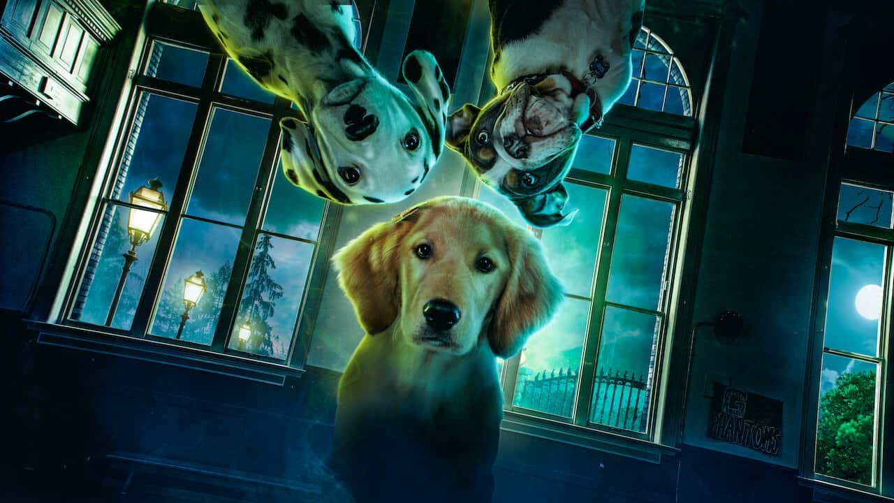 poster Phantom Pups (Phần 1) Phantom Pups (Season 1)