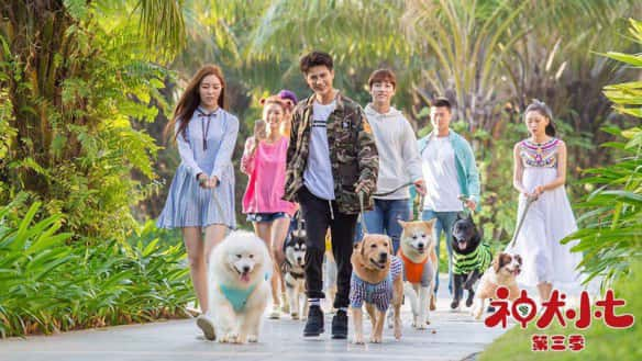 poster Thần Khuyển Tiểu Thất 3 Hero Dog (Season 3)