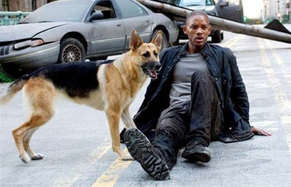 poster Tôi là huyền thoại I Am Legend